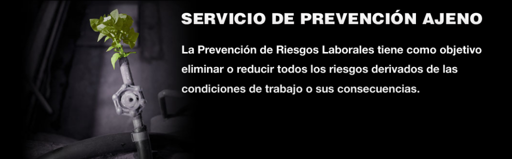 slider1foto